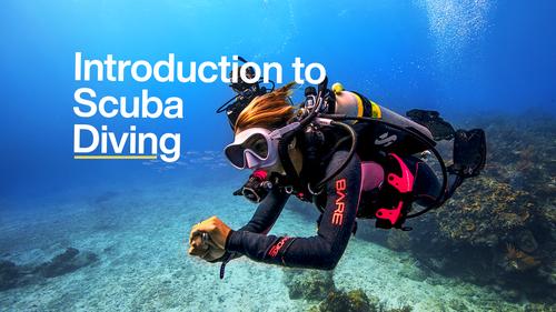 INTRODUCTION TO SCUBA DIVING