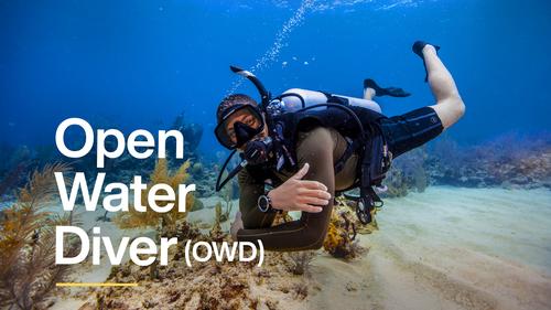 OPEN WATER DIVER (OWD)